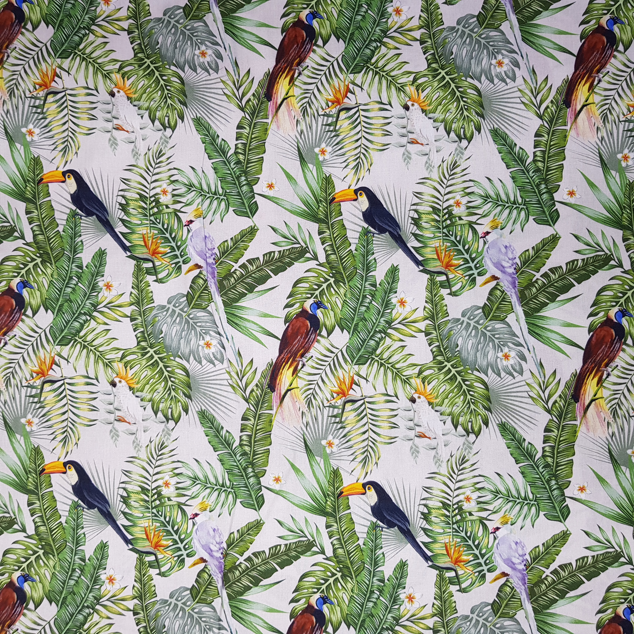 Jungle Birds - Printed Cotton