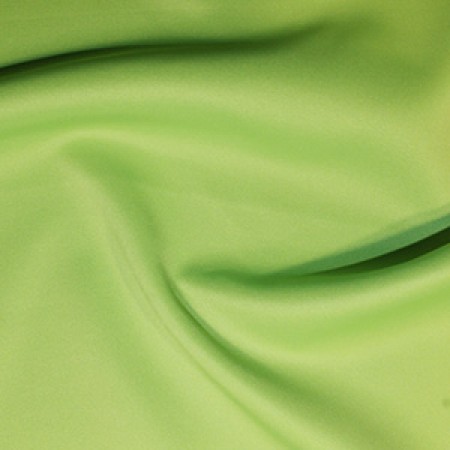 /images/product-images/c/6/c6361-flo-lime_1.jpg