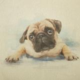 Animal Print - Canvas Panel - Pug