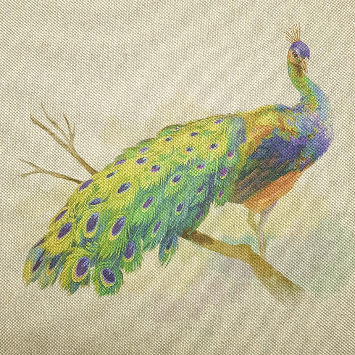 Animal Print - Canvas Panel - Peacock