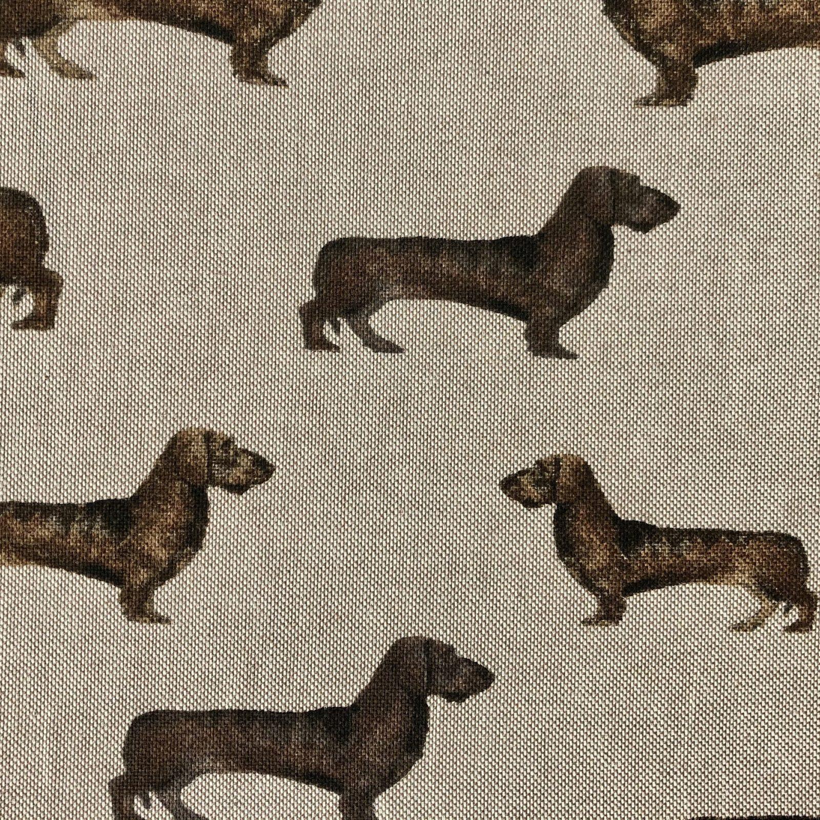 Canvas - Dachshund Dog - Sample
