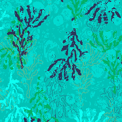Craft Cotton - Sea the good things - MSD19-094Turquoise 