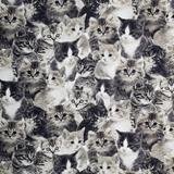 Canvas - Cats Prints