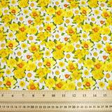 Daffodil - Summer Garden - Makower